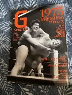 Gスピリッツ VOL75