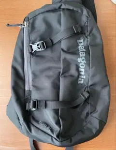 専用品　patagonia ボディバッグ 黒　Atom8L