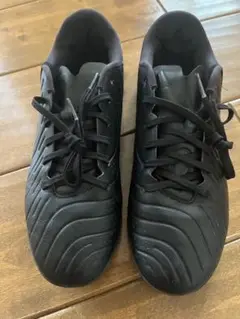 NIKE ティエンポ　フットサル　トレシュー