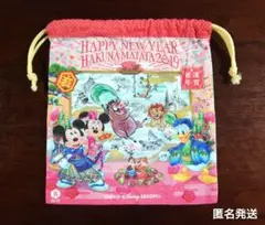 東京ディズニーリゾート　2019年　お正月　巾着　ディズニーランド