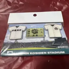 第107回全国高校野球選手権大会　決勝　日大三対沖縄尚学　ピンバッジセット