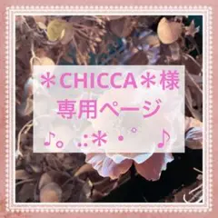Wacoal レシアージュショーツ M
