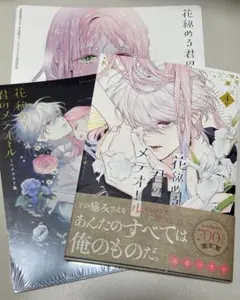 花秘める君のメテオール4巻　イラスト集