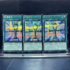 遊戯王　死者蘇生　シク　3枚セット