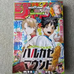 週刊少年ジャンプ 2025年 29号 付録あり
