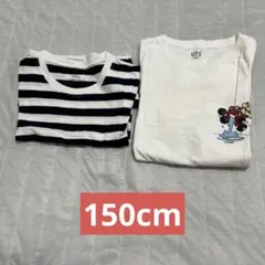 150cm Tシャツ 2枚セット