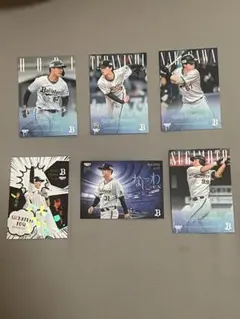 Item thumbnail for item 066b685d-04e3-4cd8-9137-c6db442de89b