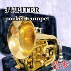 Y971 JUPITER ジュピター ポケットトランペット 管楽器 マウスピース Y971 JUPITER ジュピター ポケットトランペット 管楽器 マウスピース