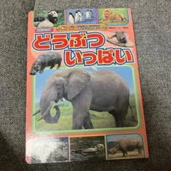 どうぶついっぱい　訳あり＾＾