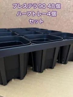 プレステラ90 48個とハーフトレーセット
