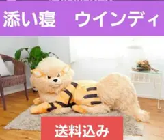 2025年最新】ぬいぐるみ 添い寝ウインディの人気アイテム - メルカリ