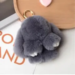 Item thumbnail for item 8cb7ee0d-66fd-4189-a275-adb3ebb23bb8