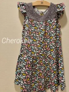 キッズ 小鳥柄ワンピース チェロキー 3歳/Cherokee dress 3T