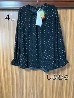 Item thumbnail for item 1776a7f8-f47d-4d76-a9d0-a8487101e7f6