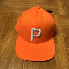 Item thumbnail for item 2019bb27-a320-42ec-98f7-1ab5fac41a82