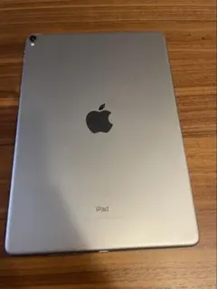 Apple iPad Pro 10.5インチ スペースグレー　64GB ジャンク