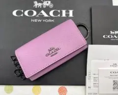 Item thumbnail for item 4b712cc9-ef7c-4456-872e-efda59cbcf05