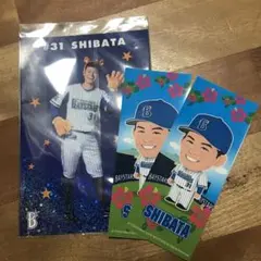 31 柴田竜拓 ベイスターズ ポストカード ステッカー