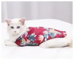 Item thumbnail for item b64fb85f-dea0-40c3-9e4c-df13c6351185