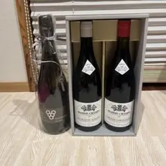 メゾンシャンピー　ワイン　2021 2022 化粧箱入り　他ワイン1本セット販売 2025年最新】MAISON CHAMPYの人気アイテム - メルカリ