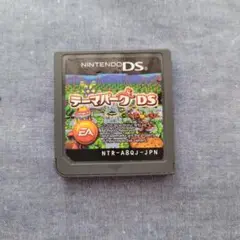 ニンテンドーDS テーマパークDS ソフト