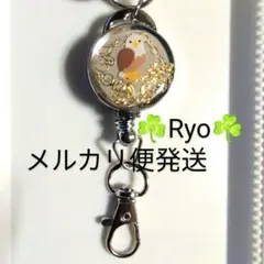 猛禽類　鳥　リールキーホルダー