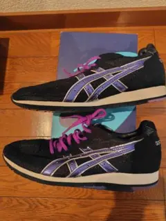 asics sortie trainer SP 25.5cm