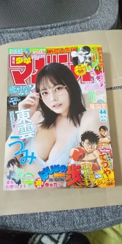 Item thumbnail for item 1c651801-ee16-4e7e-a344-68b08dc6d5a4