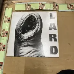 Item thumbnail for item b0d65305-0c42-4667-abdc-bbc5ab5f9cc4