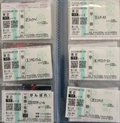 サイレンススズカ ラストラン 現地単勝馬券 第118回天皇賞秋 値下不可 1998年 第118回 天皇賞 秋 サイレンススズカ メジロブライト