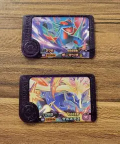 ２枚セット　ポケモン　フレンダ　タグ