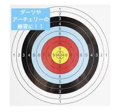 ダーツ アーチェリー ターゲットペーパー 練習用 紙 30枚入り