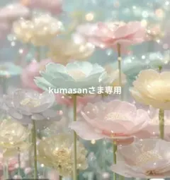 【kumasanさま専用】