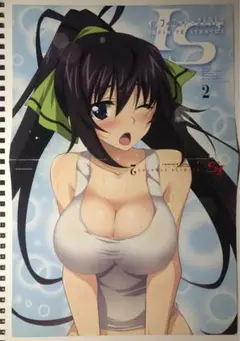 IS インフィニットストラトス　漫画2巻　カバー