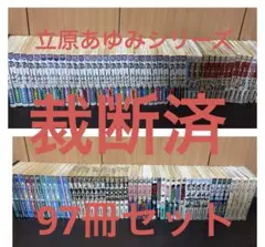 裁断済立原あゆみシリーズ97冊セット 裁断済立原あゆみシリーズ97冊セット - メルカリ