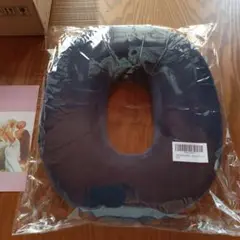 Item thumbnail for item f912234f-ca2e-40e0-99b1-af60c7d61c3f