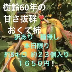 おくて柿 甘さ抜群❣️訳あり 種無し