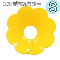 Item thumbnail for item 724e7554-c5c5-48c9-9880-09c55bad8dcd