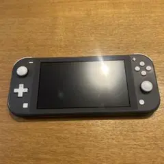 Nintendo Switch Lite グレー 本体
