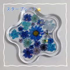 No.377⭐️固まるハーバリウム✨️スタープレート
