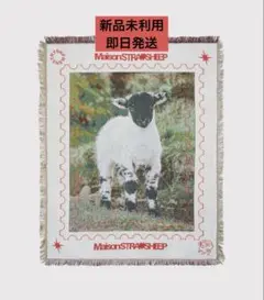 メゾンストレイシープ　ラグ STRAYSHEEP RUG