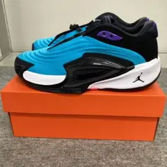 ナイキエアジョーダンバスケットシューズバッシュブラック黒ブルー青新品25NIKE