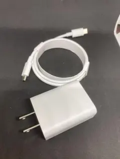 【未使用】Google 純正品18W USB-C Power Adapter