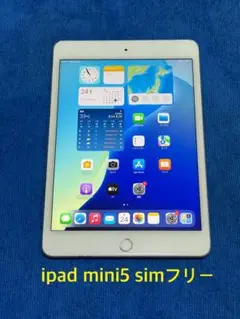 iPad mini 第5世代 Wi-Fi+Cellular 64GBシルバー41