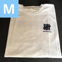 undefeated fukuoka 限定Tシャツ　半袖　アンディフィーテッド