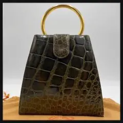 【激レア】LOEWE クロコ アナグラム サークルハンドル ハンドバッグ