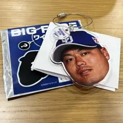 中日ドラゴンズ　BIG FACE ワイヤーチャーム　細川成也選手