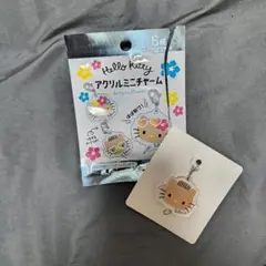 ハローキティ ダニエル アクリルミニチャーム