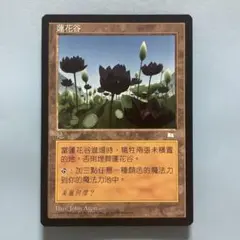 MTG 水蓮の谷間 Lotus Val WTH 英語版 3枚分 税込) Amazon.co.jp: MTG 水蓮の谷間 Lotus Val WTH 英語版 3枚