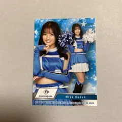 Item thumbnail for item 6da4a3b1-9db0-426c-a23c-c4649158d305